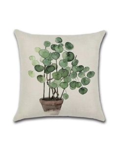 cushion cover Pancake plant