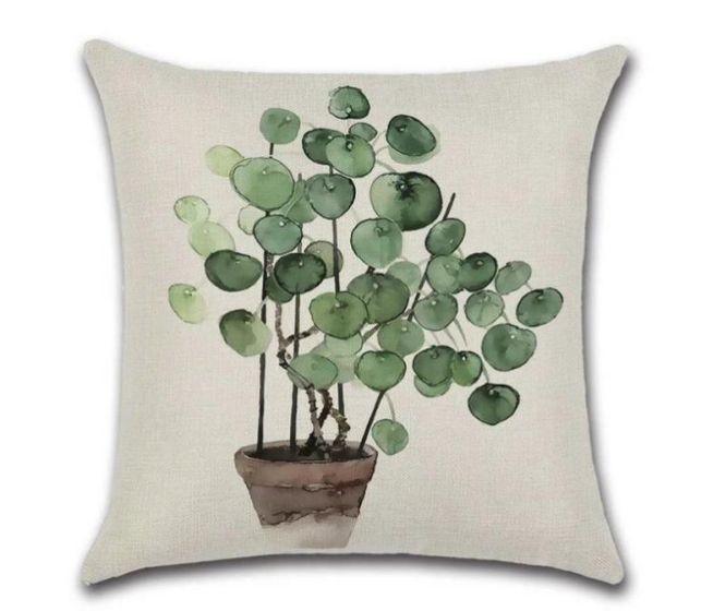 cushion cover Pancake plant